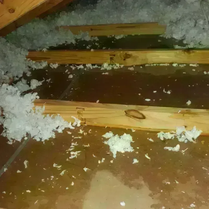 Attic Water Damage in City of Lexington, VA